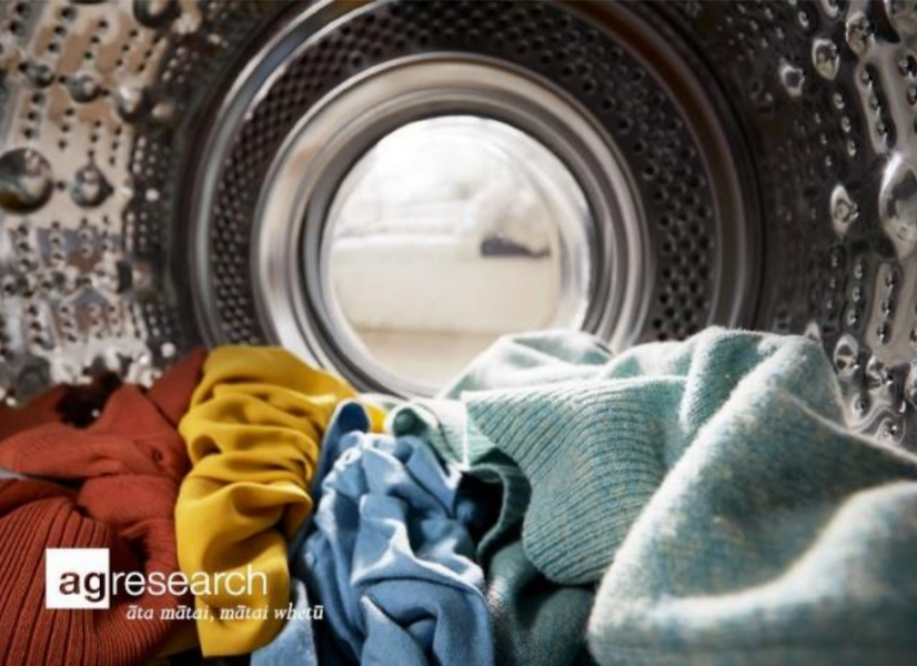Which common clothe fibre bio-degrade the best?