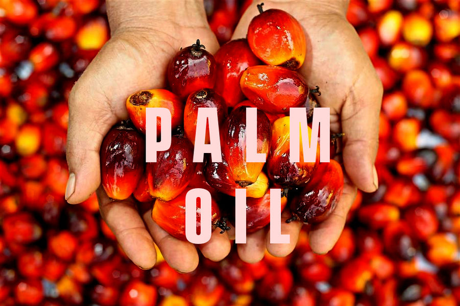 The Problem with Palm Oil
